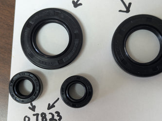 Suzuki TM100 TM 125 Seal Kit  New  sku 8117
