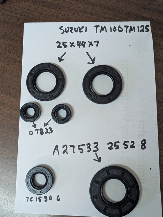 Suzuki TM100 TM 125 Seal Kit  New  sku 8117