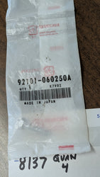 Honda ATC 70 90 110 FL250 6x25 10mm Head Hex Bolt OEM New in factory packing 92101-060250A sku 8137