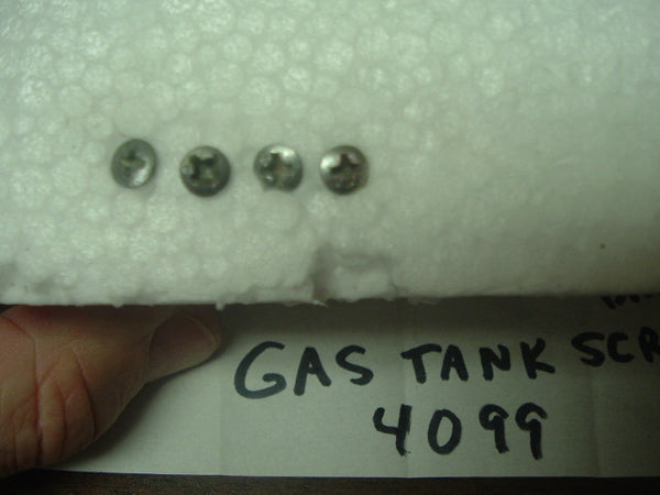 Cannot find 11/25/19 Gas Tank Badge Screws (4) 4099